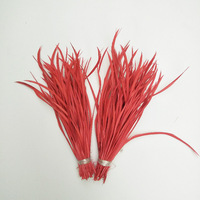 Plumes Naturelles pour la Fabrication de Mouches de Pêche en Gros, Plumes de Biot d'Oie Teintes en Vrac à Bas Prix de 10-20 cm pour la Décoration de Cheveux, Chapeaux et Chaussures