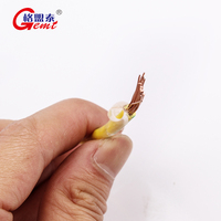 THHN Cable THWN Cable Eléctrico Trenzado Conductor de Cobre PVC Aislado Nylon Forrado THW 10 12 14 AWG Cable