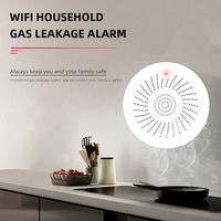 Système de sécurité domestique Détecteur intelligent de fuite de gaz combustible 85dB Sound Light WIFI Smart Tuya Détecteur de gaz GPL naturel Détecteurs d'alarme