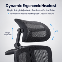 Chaise de bureau ergonomique moderne à dossier haut en maille, double soutien lombaire, accoudoirs 3D réglables, base étoile à cinq branches, pivotant à 360 degrés pour