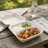 Zero Waste Suikerrietbagasse Afhaallocatiebakje met 3 compartimenten, biologisch afbreekbaar voor bedrijfscafetera's