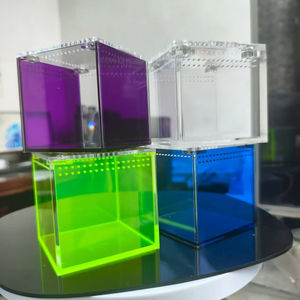 Moderner 3x3x3 Zoll Klarer Acryl Kleintier-Gehege Fluoreszierender Magnetischer Sprungspinne-Eidechsen-Würfel für Kleintiere - Product Image 2