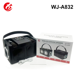 Altavoz Karaoke Bluetooth Portátil Mini OEM con Dos Micrófonos Inalámbricos y Luz LED RGB para Fiestas en Casa y KTV - Product Image 4