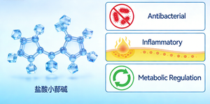 Extracto de Berberina en Polvo, Suplementos Dietéticos, 98% de Clorhidrato de Berberina en Polvo - Product Image 3