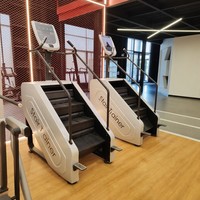Appareil de fitness commercial pour salle de sport : Simulateur d'escalade motorisé pour usage professionnel