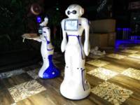 Ofrece una variedad de configuraciones de robots de servicio de felicitación inteligente humanoide
