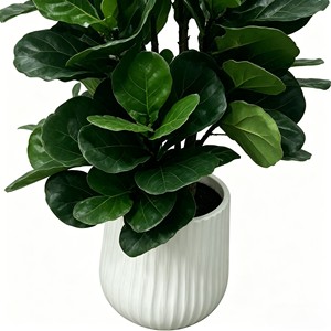 Árbol Artificial de Ficus Lyrata en Maceta Blanca para Decoración de Interiores, Hojas de Alta Simulación, Planta de Plástico - Product Image 6