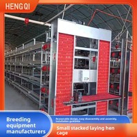 Équipement automatique en acier galvanisé pour poules pondeuses en batterie, cages pour poulets de ferme avicole, vente chaude