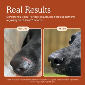 Poudre de probiotiques pour chiens - Santé digestive et absorption rapide - Vitamines - Compléments nutritionnels sûrs - Product Image 5