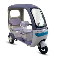 Tricycle électrique Holladay 650w 60V fabriqué en Chine, pas cher, avec auvent imperméable, tricycles électriques pour la famille, scooter électrique