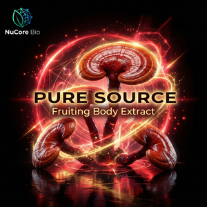 Stock local aux États-Unis : Poudre <span class=keywords><strong>de</strong></span> Ganoderma Lucidum Reishi biologique, Triterpènes, Acide Ganoderique, Qualité alimentaire pour le corps, OEM ODM Marque privée - Product Image 3