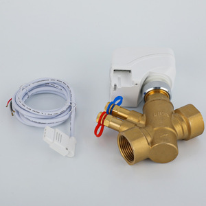 Manually Controlled Brass Static Regulating Balance <b>Valve</b> Digitally Locked Flow Regulating <b>Control</b> <b>Valve</b> - Product Image 3