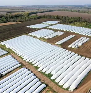 Approvisionnement d'usine de nouveaux sacs d'ensilage Silo en plastique pour graines, céréales et riz avec prix d'usine