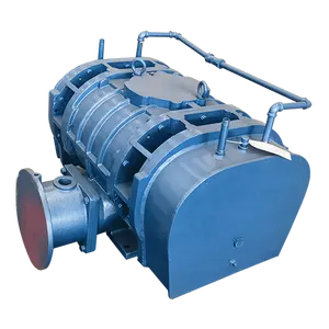 Biyogaz endüstriyel blower için kullanılan RSR serisi pozitif displace hava üfleyici üretmektedir