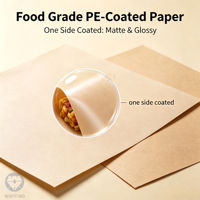 Fabricant de rouleaux de papier blanc et brun de haute qualité, enduits d'un côté de PE, 41 g/m², 56 g/m², 95 g/m², avec logo imprimé, fournis directement par l'usine chinoise