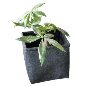 Sacchetto quadrato moderno per piantare Bonsai vegetali per piantare alberi - Product Image 5