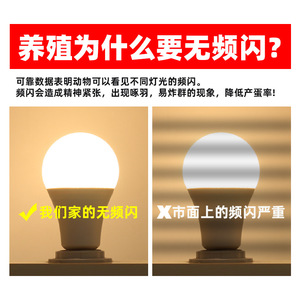 หลอดไฟ LED สำหรับสัตว์ปีก 220V E27 แสงวอร์มไวท์ ปรับความสว่างได้ สำหรับให้แสงสว่างในฟาร์มไก่ - Product Image 5
