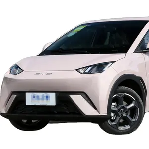 China EV Electric Cars Mini SUV 4 posti rosa per Lady and Girls Women BYD Brand