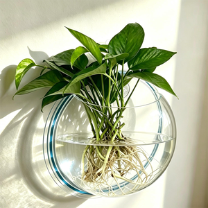 Vase suspendu hydroponique transparent de qualité supérieure, sans perçage, auto-adhésif, pour plantes murales, idéal pour les bureaux modernes - Product Image 4