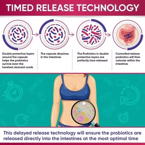 Probiótico Femenino de Marca Privada, 100 Mil Millones de UFC y Cápsulas Prebióticas para la Salud Vaginal, Salud Intestinal y Salud Digestiva de la Mujer - Product Image 5