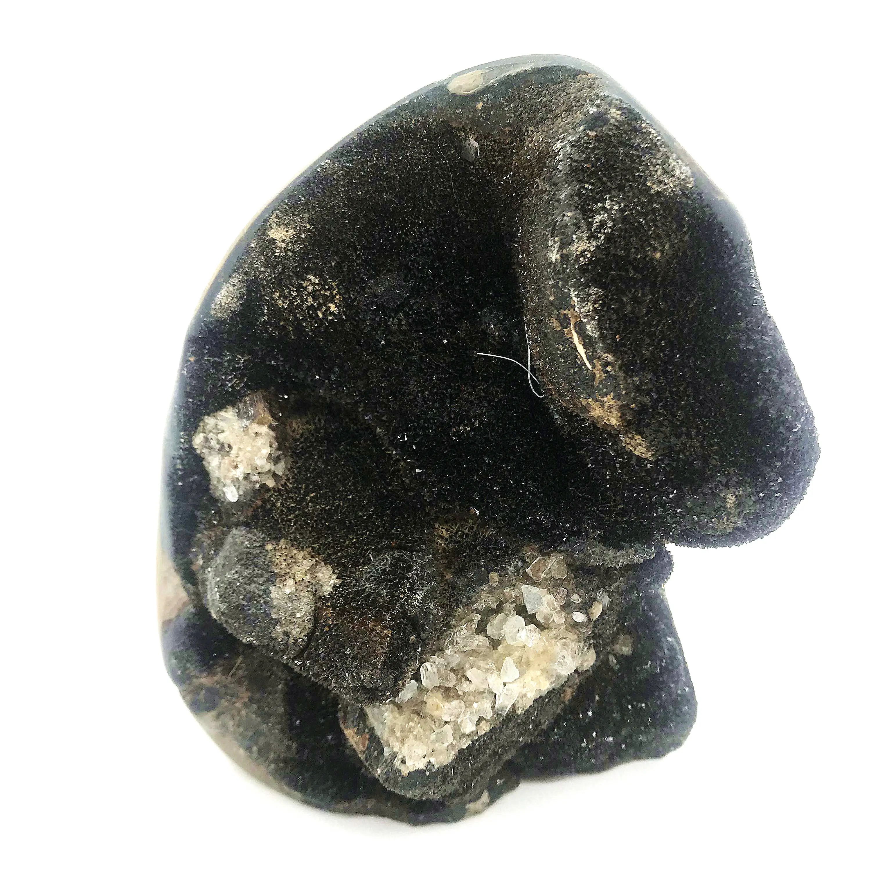 Grosir Batu Turtle Turtle Bentuk Telur Naga Alami Geodes Batu Kristal Fosil untuk Dekorasi