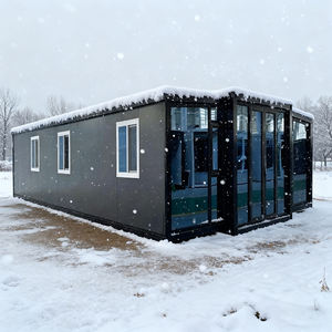 30ft Een Slaapkamer Tot Drie Slaapkamers Lage Prijzen Containerhuizen Uitgebreide After Sales Service Voor Luxe Geprefabriceerd Huis - Product Image 1