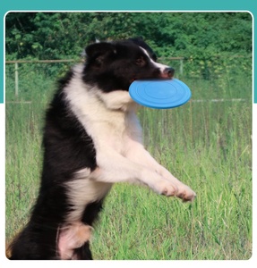 Juguete Masticable para Perros en Oferta, Disco Volador Ligero y Suave para Cachorros, para Perros Pequeños y Medianos, Entrenamiento Deportivo al Aire Libre - Product Image 5