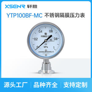 Manómetro de Diafragma de Acero Inoxidable Suzhou XuanSheng, 100 mm, Precisión 1.6, YTP100BF MC - Product Image 3