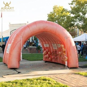 Tunnel gonflable géant en forme de côlon, tunnel gonflable personnalisé en forme d'organe - Product Image 3