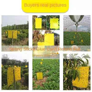 Желтая двусторонняя липкая ловушка для насекомых (трипсов и плодовых мушек) – мощное средство для домашнего сада и горных участков - Product Image 4