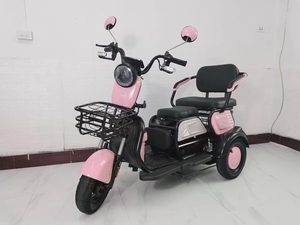 <span class=keywords><strong>Triciclo</strong></span> Eléctrico de 600W 800W para Adultos, Motocicleta de 3 Ruedas para Pasajeros o Reparto de Comida - Product Image 4