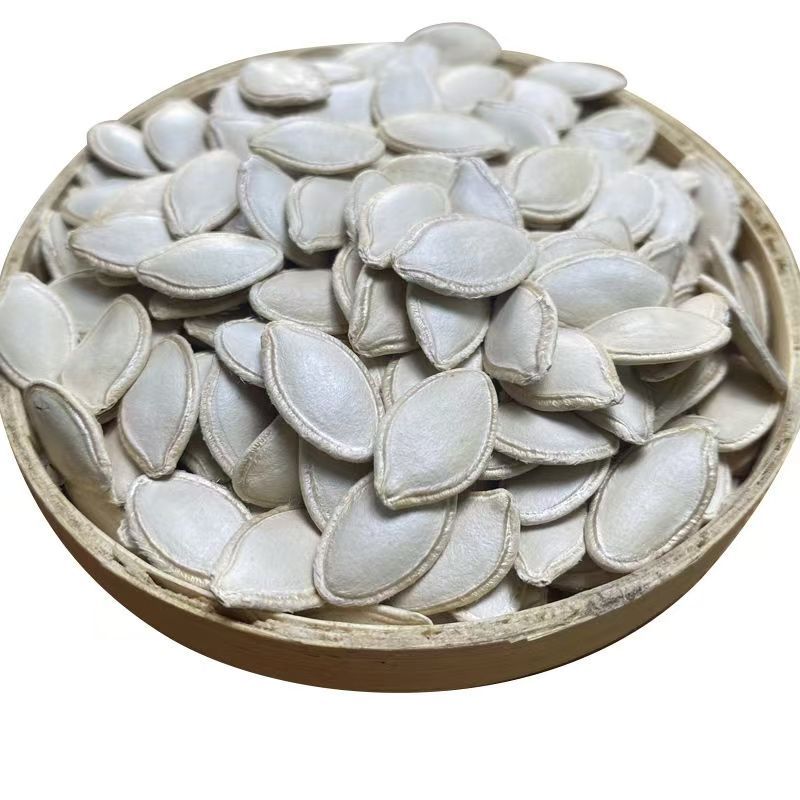 Gourd Seeds