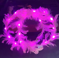 Guirlande de plumes blanches scintillantes à LED pour les fêtes d'anniversaire et de concert