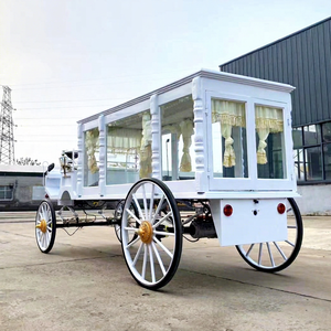 Carroza Fúnebre Americana de Lujo, de Acero y Cuero, con Columna Romana Eléctrica, Transporte Especial, Carroza Fúnebre Eléctrica - Product Image 1