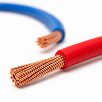 Fil de cuivre toronné isolé en PVC pour le câblage électrique et d'éclairage intérieur des bâtiments et de l'industrie