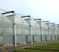 Serre hydroponique tropicale à prix réduit, grande taille, à structure en acier à profil denté, avec contrôle climatique, pour la culture agricole de tomates