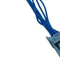 Boîtier de connecteur double rangée pour faisceau de câbles automobile, faisceau de câbles bleu 2,54 mm pour équipement de charge de véhicules électriques