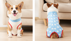 Petit chien, chien de taille moyenne, chien de grande taille, chihuahua, dachshund, bouledogue, pug, bouledogue français, yorkshire terrier, corgi, husky, chat persan - Product Image 6
