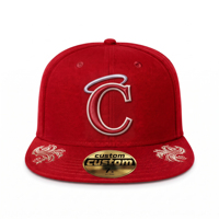 Casquettes Snapback OEM avec logo personnalisé, broderie 3D de haute qualité, imprimé camouflage, visière plate, casquette personnalisée pour hommes
