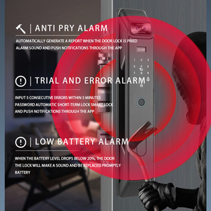 Nhà Máy Thiết Kế Ban Đầu Chất Lượng Cao Kẽm Hợp Kim Kỹ Thuật Số Hệ Thống An Ninh Khẩn Cấp <span class=keywords><strong>Key</strong></span> Nhà Thông Minh Trong Nhà Cửa Khóa Với Máy Ảnh - Product Image 3