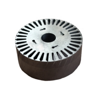Stator de moteur personnalisable CXK (2025) certifié ISO 9001 et RoHS, haute efficacité, en acier au silicium de 0,5 mm, avec 12/24/36 fentes, accessoire