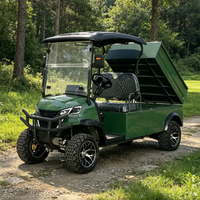 Voiture de golf électrique tout-terrain Rainbow 72V certifiée CE, freins à disque, 2 places personnalisées avec benne arrière hydraulique, autonomie 70-90 km