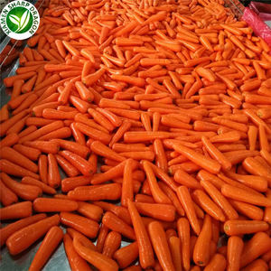 <span class=keywords><strong>Prix</strong></span> <span class=keywords><strong>de</strong></span> gros pour l'exportation <span class=keywords><strong>de</strong></span> carottes surgelées IQF biologiques - Product Image 2