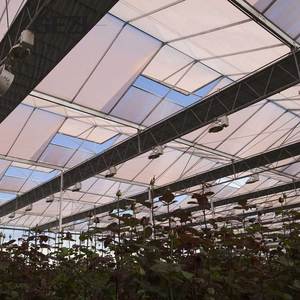 <span class=keywords><strong>Malla</strong></span> de Sombreado <span class=keywords><strong>para</strong></span> Invernadero de Alta Transparencia, Control de Clima, Restricción de Luz Térmica, Difusión Climática, Protección Solar Verde - Product Image 3