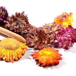 Vente en gros usine de tisane de fleurs séchées d'<span class=keywords><strong>Helichrysum</strong></span> <span class=keywords><strong>Bracteatum</strong></span> de qualité supérieure - Product Image 1