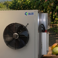 Machine de séchage de dattes à pompe à chaleur, déshydrateur de fruits pour dattes séchées d'Égypte