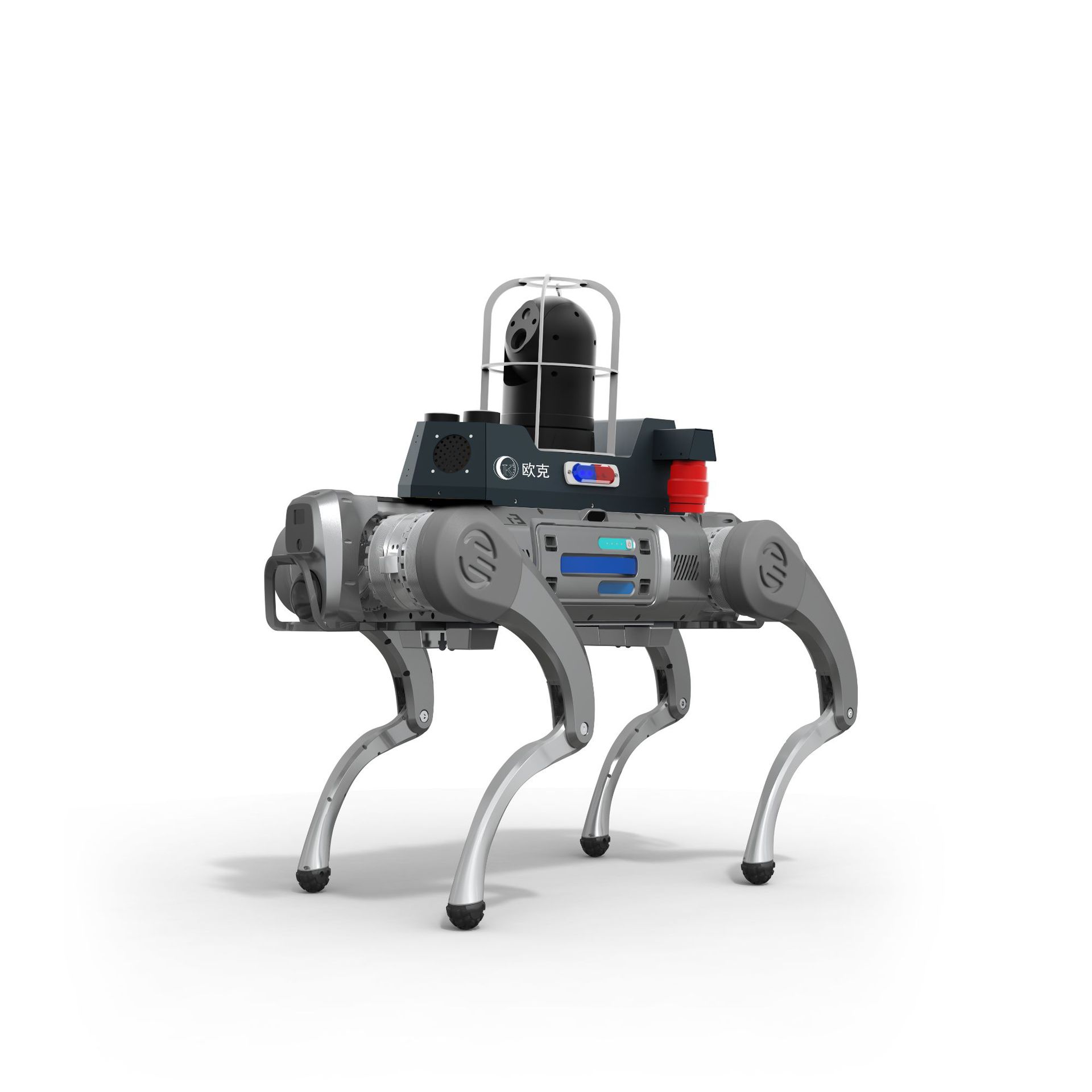 244507_2