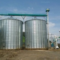Silo di stoccaggio per grani in acciaio zincato a caldo | 500T-10000T personalizzabile Silo in acciaio ondulato imbullonato per riso di frumento di mais