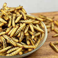 Insectes Séchés Aliment Premium pour Volailles Larves de Mouches Soldat Noires Séchées Aliment Sec de Haute Qualité pour Poulets Canards Tortues Geckos