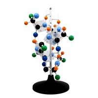Modèle de structure de l'ADN en double hélice et de la protéine, kit de base moléculaire, kit génétique, instrument éducatif scientifique en biologie